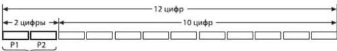 12 цифр 2 цифры 10 цифр P1 P2