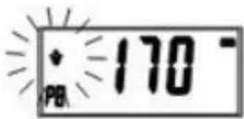 PB 170°