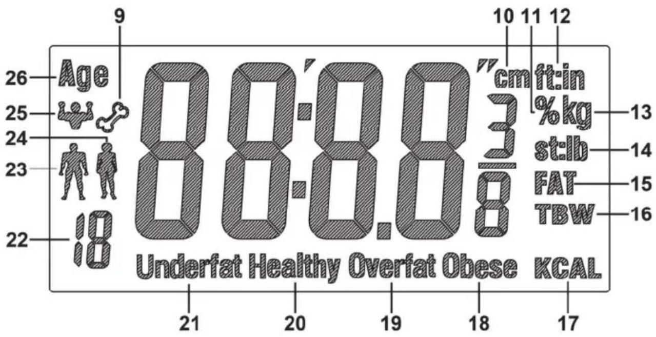 9 Age 26 25 24 23 22 18 88:88.83 cm ft in % kg 3 st:lb 13 FAT 14 TBW 15 16 Underfat Healthy Overfat Obese KCAL 21 20 19 18 17