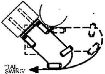 "TAIL SWING"