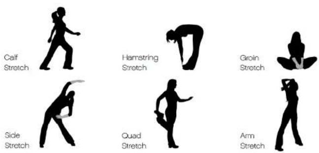 Calf Stretch Hamstring Stretch Groin Stretch Side Stretch Quad Stretch Arm Stretch