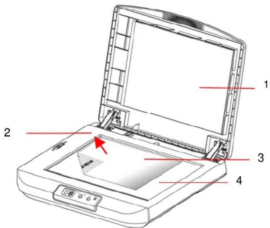 Diagram of an open scanner with numbered parts labeled 1 to 4, highlighting a red arrow pointing to the screen area.