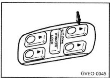 ROOT MODERN MINI GUT GVEO-0045