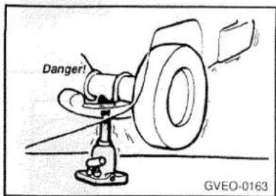 Danger! GVEO-0163