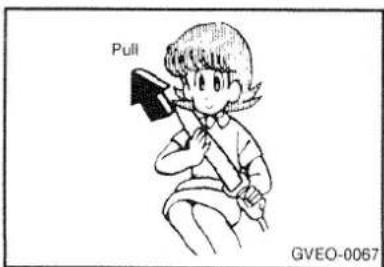 Pull GVEO-0067