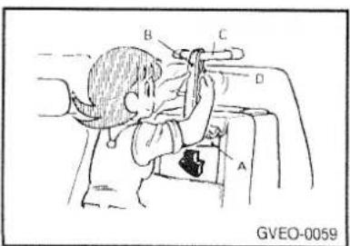 B C D A GVEO-0059