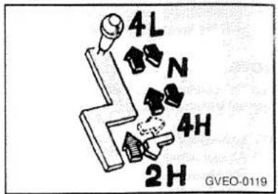 4L N 4H 2H GVEO-0119