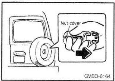 Nut cover GVEO-0164