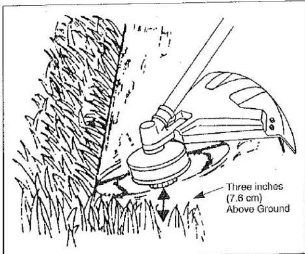 Three inches (7.6 cm) Above Ground