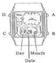 D A C P 28 B Day Month Date