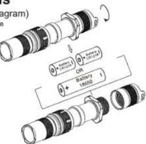 Diagram) Batter1 C20 Batter2 C21 Battery 18650