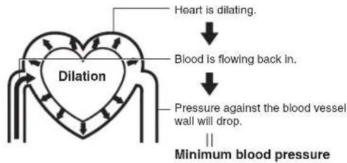 graph TD A["Heart is dilating."] --> B["Blood is flowing back in."] B --> C["Pressure against the blood vessel wall will drop."] C --> D["Minimum blood pressure"] E["Dilation"] --> A