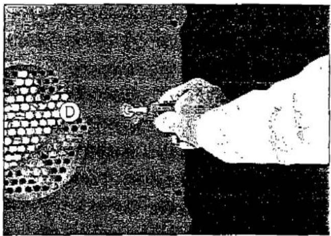 Photo en noir et blanc montrant une main interagissant avec une surface texturée, représentant peut-être un échantillon géologique ou biologique (aucun texte ou symbole visible).