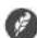 ZEROWATT ZX 33 - WASH - 1