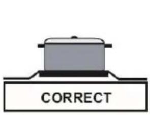 CORRECT