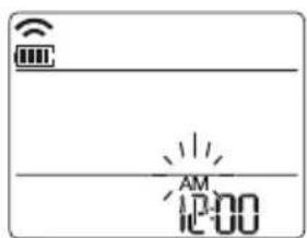 AM 12:00