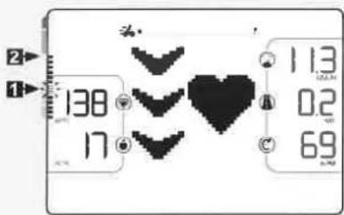 头 138 17 113 0.2 69