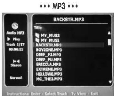 ••• MP3 ••• Audio HP3 Play Track 1/17 00:00:11 Stereo Normal BACKSTR.MP3 Title MY_MUS2 MY_MUS1 BACKSTR.MP3 BOYZONE.MP3 DEEP_P2.MP3 DEEP_PU.MP3 ERICCLA.MP3 EXTREME.MP3 HELLOWE.MP3 MC_THE2.MP3 Instructions Enter - Select Track Tv View - Exit