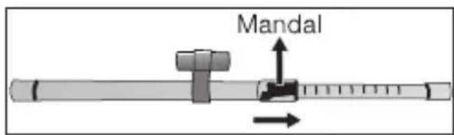 Mandal