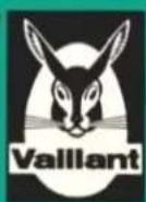 VAILLANT MAG 135/71 TZ - De uitstroomtemperatuur is erg veranderd - 1
