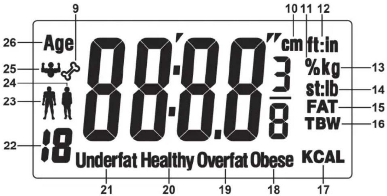 Age 26 25 24 23 22 18 0.0-0.0" cm ft:in 3 %kg 8 Underfat Healthy Overfat Obese KCAL 21 20 19 18 17
