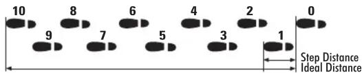 10 8 6 4 2 0 9 7 5 3 1 Step Distance Ideal Distance