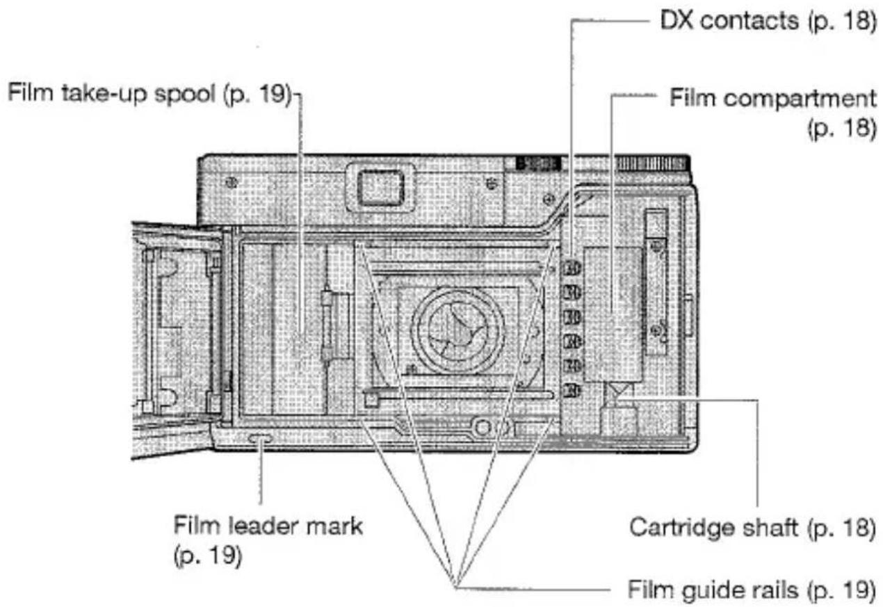 Contacts DX (p. 18) Bobine réceptrice du film (p. 19) Compartiment du film (p. 18) Repère de début de film (p. 19) Axe de cartouche (p. 18) Glissières de guidage du film (p. 19)