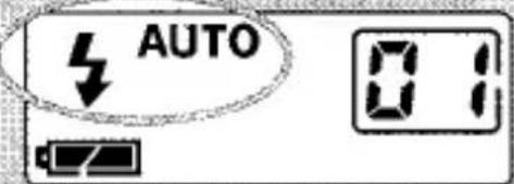AUTO 0:1