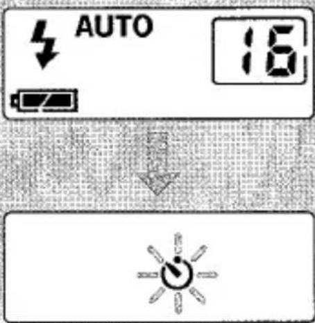 AUTO 16