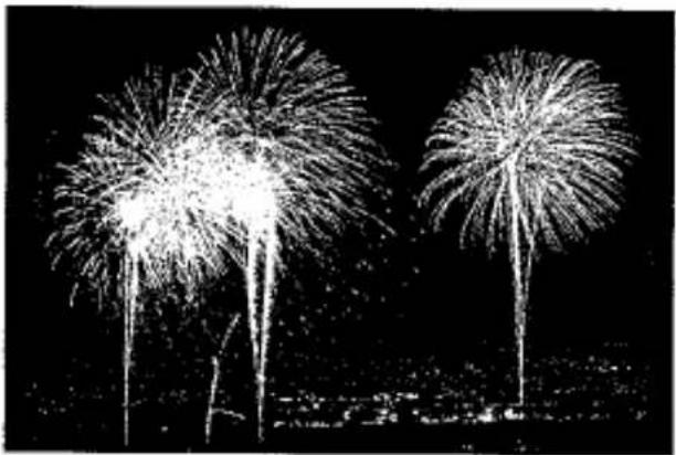 Photographie en noir et blanc de deux grands feux d'artifice dans le ciel, sans texte ni symbole visible.