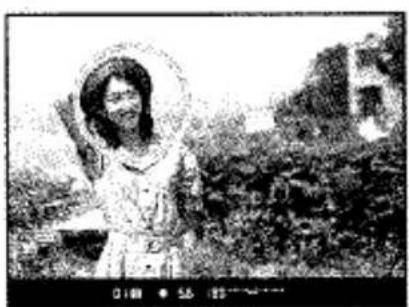 Photo en noir et blanc d'une personne à l'extérieur avec de la verdure et un bâtiment en arrière-plan (sans texte ni symboles visibles)