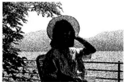 Silhouette d'une personne portant un chapeau à large bord, debout près d'une rambarde avec des arbres et des collines au loin en arrière-plan (aucun texte ou symbole visible).