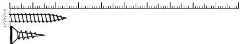 Illustration of two screws with a ruler for scale (no text or symbols)