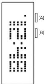 28 (A) (B)