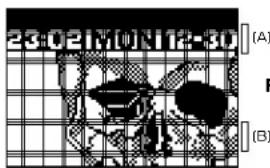 23:02 M10 N12-30 (A) (B)