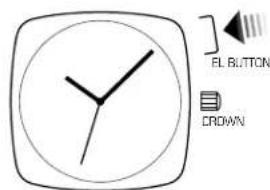 EL BUTTON CROWN