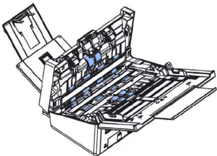AVISION AN240W - The Cleaning Procedures - 2