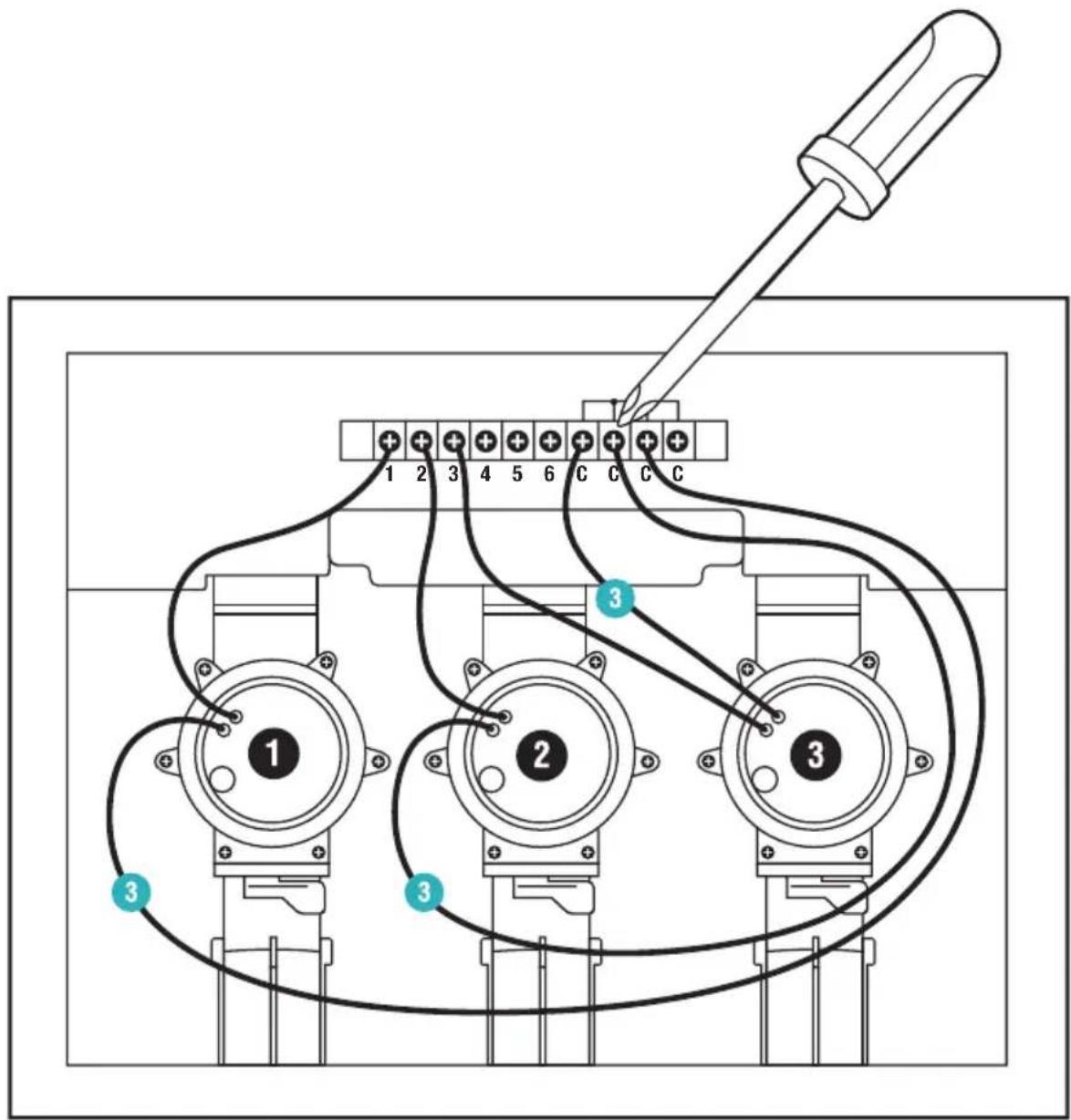 1 2 3 4 5 6 C C C 1 2 3 4 5 6 C C C 3 3 3
