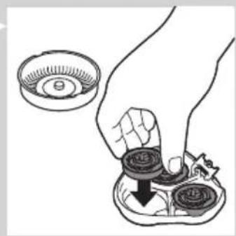 Illustration of a hand placing a coin into a bowl with a magnified inset showing the cup (no text or symbols)