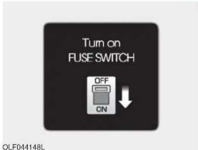 Turn on FUSE SWITCH OFF ON OLF044148L