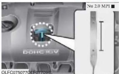 Nu 2.0 MPI DOHC 10V OLFC075077OLF077094L