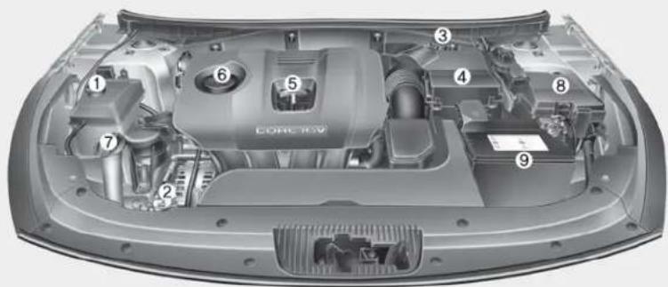 Technical diagram of a car's internal components with numbered parts for identification