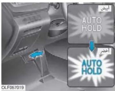أبيض AUTO HOLD أغشر AUTO HOLD OLF057019
