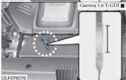 Gamma 1.6 T-GDJ OLF076076