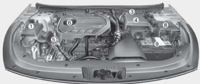 Technical diagram of a car engine bay with numbered components for identification