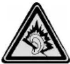 Warning sign depicting a skull with a lightning bolt symbol inside a triangle