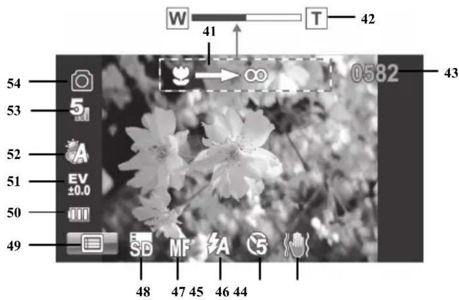 W 41 T 42 54 53 52 51 50 49 48 47 45 46 44 0582 43