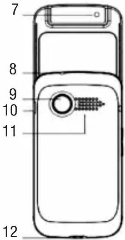 7 8 9 10 11 12