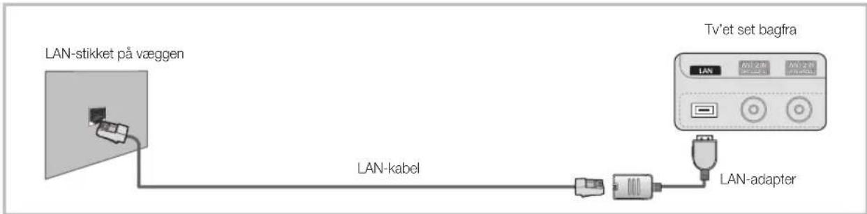 LAN-stikket på væggen LAN-kabel TV'et set bagfra LAN LAN-adapter