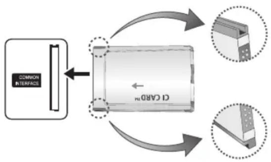 graph TD A["COMMON INTERFACE"] --> B["C1440"] B --> C["Component placement"] C --> D["Top 3D Component with circular annotations"] C --> E["Bottom 3D Component with dotted outlines"]